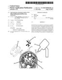 TRANSCRANIAL MAGNETIC STIMULATION FOR ALTERING SUSCEPTIBILITY OF TISSUE TO     PHARMACEUTICALS AND RADIATION diagram and image