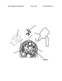 TRANSCRANIAL MAGNETIC STIMULATION FOR ALTERING SUSCEPTIBILITY OF TISSUE TO     PHARMACEUTICALS AND RADIATION diagram and image