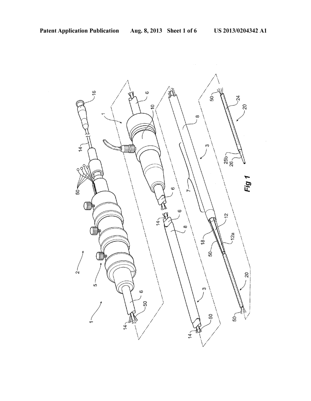 ORIENTATION MARKERS FOR ENDOVASCULAR DELIVERY SYSTEM - diagram, schematic, and image 02