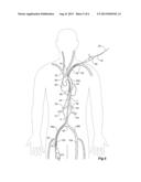 ORIENTATION MARKERS FOR ENDOVASCULAR DELIVERY SYSTEM diagram and image