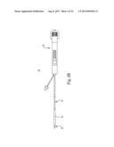 Transcatheter Valve Delivery Systems and Methods diagram and image