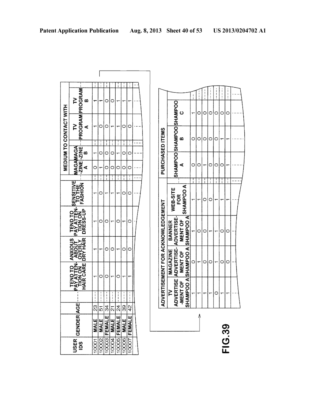 Advertising Medium Determination Device and Method Therefor - diagram, schematic, and image 41