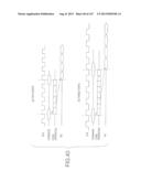 MULTI-PORT MEMORY BASED ON DRAM CORE diagram and image