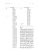 SOYBEAN VARIETY DLL1311 diagram and image