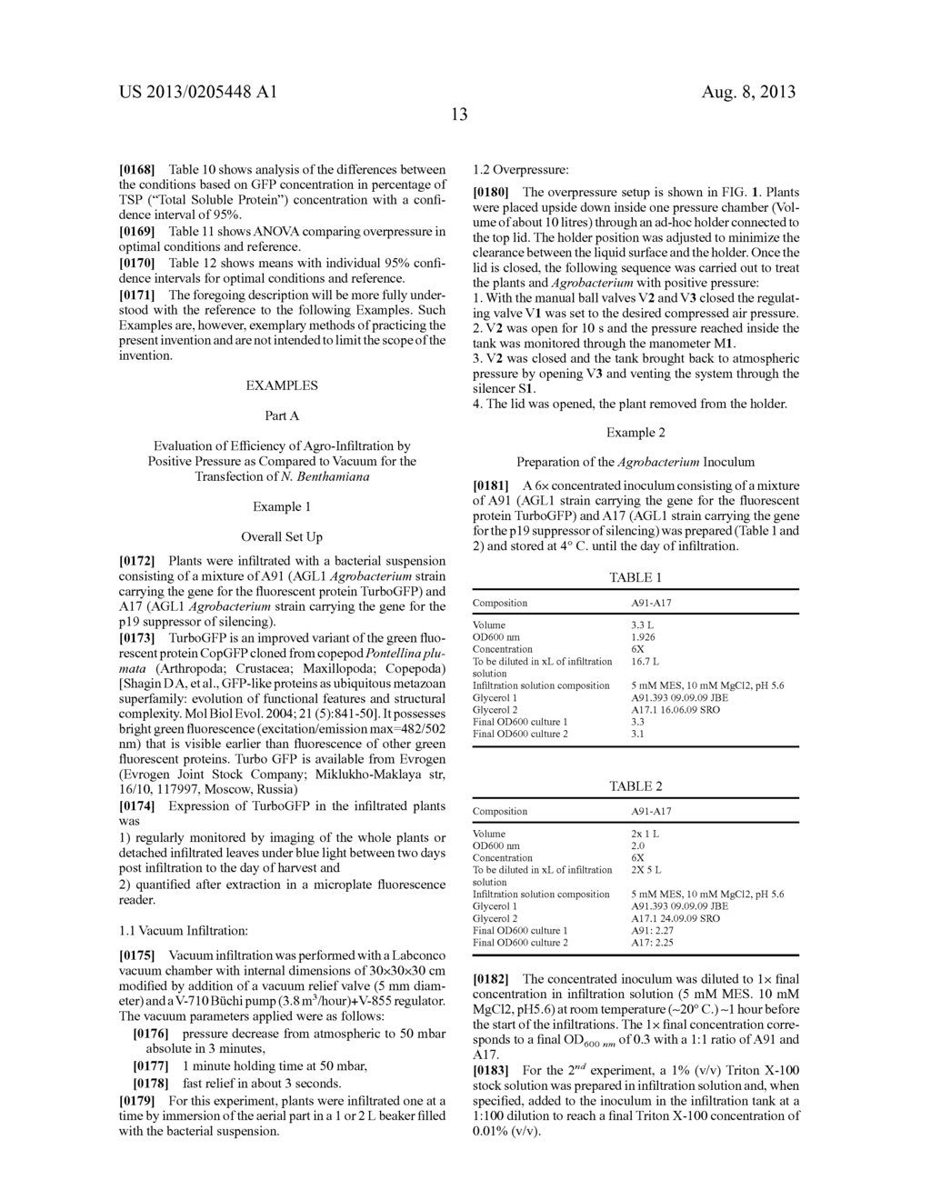 METHODS FOR PRODUCING PROTEINS IN PLANTS - diagram, schematic, and image 19