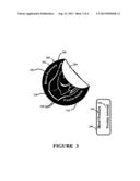 Articles of manufacture and methods for efficient consumer identification     of bottled medicines diagram and image