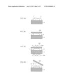 GLOSS PROCESSING APPARATUS diagram and image