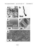 NANOWIRES AND METHODS OF MAKING AND USING diagram and image