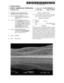 ADHESIVE STRUCTURE WITH STIFF PROTRUSIONS ON ADHESIVE SURFACE diagram and image