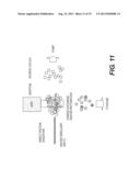 CHARACTERIZATION OF PETROLEUM SATURATES diagram and image