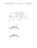 Non-Contact Torque Sensor with Permanent Shaft Magnetization diagram and image