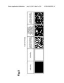 WEARABLE DISPLAYS METHODS, AND COMPUTER-READABLE MEDIA FOR DETERMINING     DISPLAY CONDITIONS diagram and image