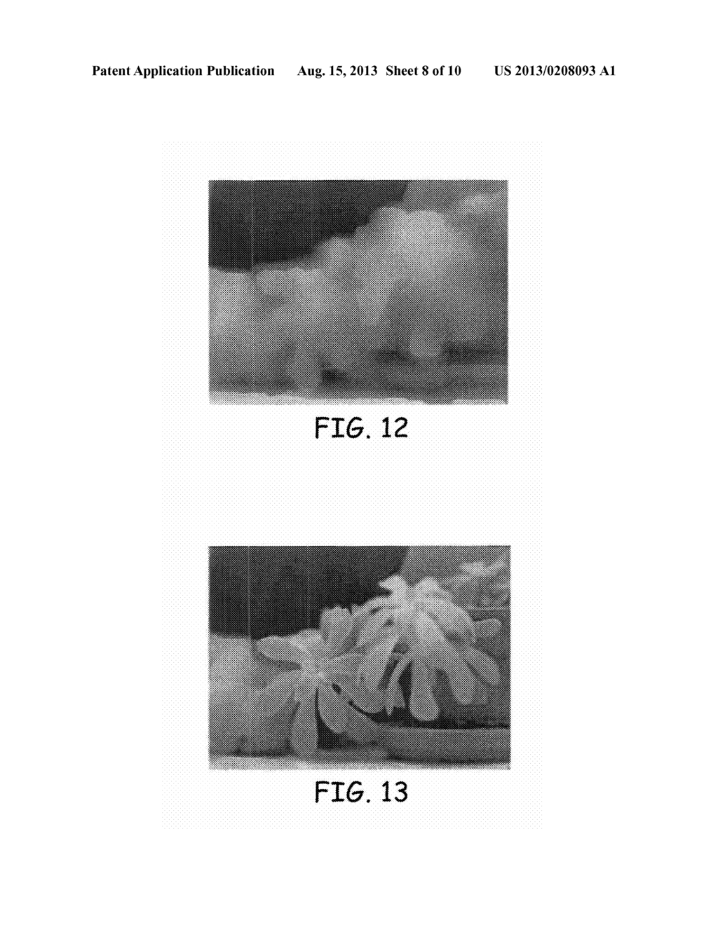 SYSTEM FOR REDUCING DEPTH OF FIELD WITH DIGITAL IMAGE PROCESSING - diagram, schematic, and image 09