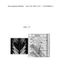 LIQUID CRYSTAL DISPLAY DEVICEE diagram and image