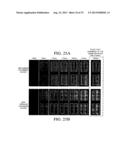 LIQUID CRYSTAL DISPLAY DEVICEE diagram and image