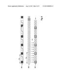 Distance Measuring Device having Homogenizing Measurement Evaluation diagram and image