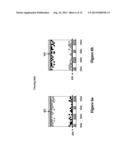 SHUTTER MODE FOR COLOR DISPLAY DEVICES diagram and image