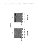 SHUTTER MODE FOR COLOR DISPLAY DEVICES diagram and image