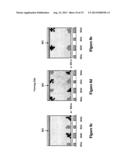 SHUTTER MODE FOR COLOR DISPLAY DEVICES diagram and image