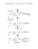 UNIVERSAL PHYSICAL CONTROL PLANE diagram and image