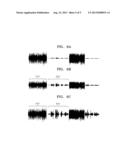 METHOD AND APPARATUS TO AUTOMATICALLY CONTROL AUDIO VOLUME diagram and image