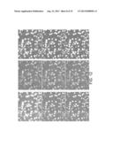 Automatic Image Analysis and Quantification for Fluorescence in situ     Hybridization diagram and image