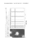 Automatic Image Analysis and Quantification for Fluorescence in situ     Hybridization diagram and image