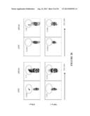 NUCLEIC ACID MOLECULE ENCODING HEPATITIS B VIRUS CORE PROTEIN AND SURFACE     ANTIGEN PROTEIN AND VACCINE COMPRISING THE SAME diagram and image