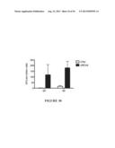 NUCLEIC ACID MOLECULE ENCODING HEPATITIS B VIRUS CORE PROTEIN AND SURFACE     ANTIGEN PROTEIN AND VACCINE COMPRISING THE SAME diagram and image