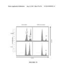 NUCLEIC ACID MOLECULE ENCODING HEPATITIS B VIRUS CORE PROTEIN AND SURFACE     ANTIGEN PROTEIN AND VACCINE COMPRISING THE SAME diagram and image