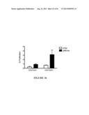 NUCLEIC ACID MOLECULE ENCODING HEPATITIS B VIRUS CORE PROTEIN AND SURFACE     ANTIGEN PROTEIN AND VACCINE COMPRISING THE SAME diagram and image