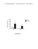 NUCLEIC ACID MOLECULE ENCODING HEPATITIS B VIRUS CORE PROTEIN AND SURFACE     ANTIGEN PROTEIN AND VACCINE COMPRISING THE SAME diagram and image