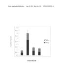 NUCLEIC ACID MOLECULE ENCODING HEPATITIS B VIRUS CORE PROTEIN AND SURFACE     ANTIGEN PROTEIN AND VACCINE COMPRISING THE SAME diagram and image