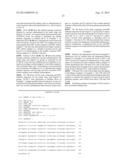 NUCLEIC ACID MOLECULE ENCODING HEPATITIS B VIRUS CORE PROTEIN AND SURFACE     ANTIGEN PROTEIN AND VACCINE COMPRISING THE SAME diagram and image