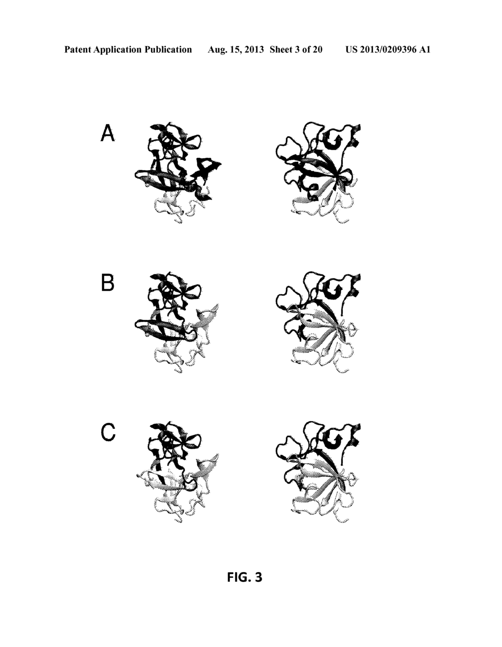 CHIMERIC IL-1 RECEPTOR TYPE I AGONISTS AND ANTAGONISTS - diagram, schematic, and image 04