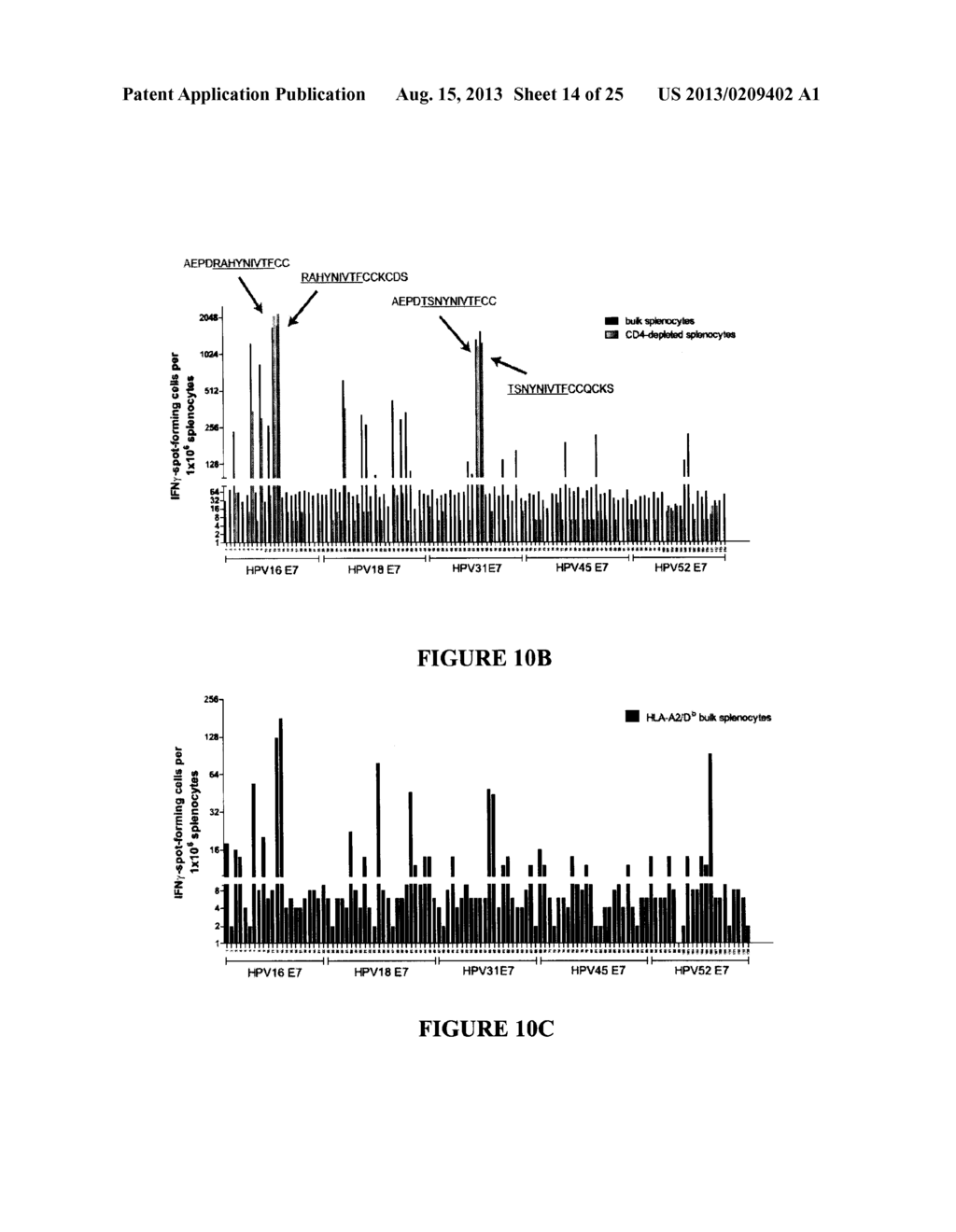 HUMAN PAPILLOMAVIRUS E7 ANTIGEN COMPOSITIONS AND USES THEREOF - diagram, schematic, and image 15