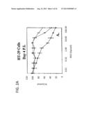 CHIMERIC ADENOVIRUSES FOR USE IN CANCER TREATMENT diagram and image