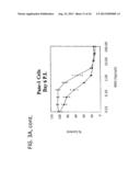 CHIMERIC ADENOVIRUSES FOR USE IN CANCER TREATMENT diagram and image