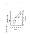 CHIMERIC ADENOVIRUSES FOR USE IN CANCER TREATMENT diagram and image