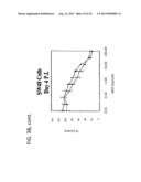 CHIMERIC ADENOVIRUSES FOR USE IN CANCER TREATMENT diagram and image