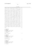 CHIMERIC ADENOVIRUSES FOR USE IN CANCER TREATMENT diagram and image