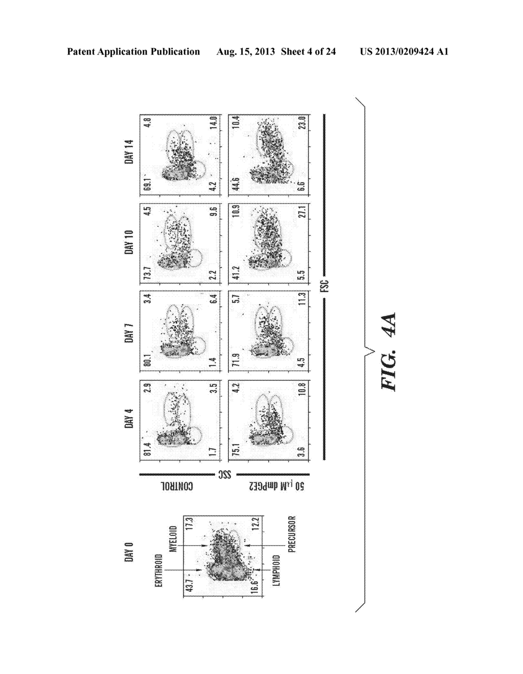 COMPOSITIONS FOR PROMOTING HEMATOPOIETIC STEM CELL GROWTH - diagram, schematic, and image 05