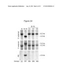 METHOD FOR GENOME MODIFICATION diagram and image