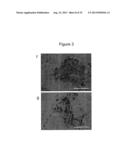 METHOD FOR GENOME MODIFICATION diagram and image