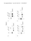 METHOD FOR GENOME MODIFICATION diagram and image