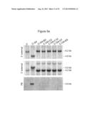 METHOD FOR GENOME MODIFICATION diagram and image