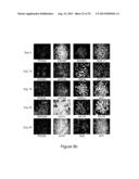 METHOD FOR GENOME MODIFICATION diagram and image