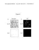 METHOD FOR GENOME MODIFICATION diagram and image