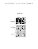 METHOD FOR GENOME MODIFICATION diagram and image