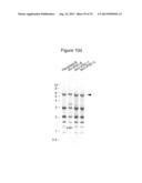 METHOD FOR GENOME MODIFICATION diagram and image